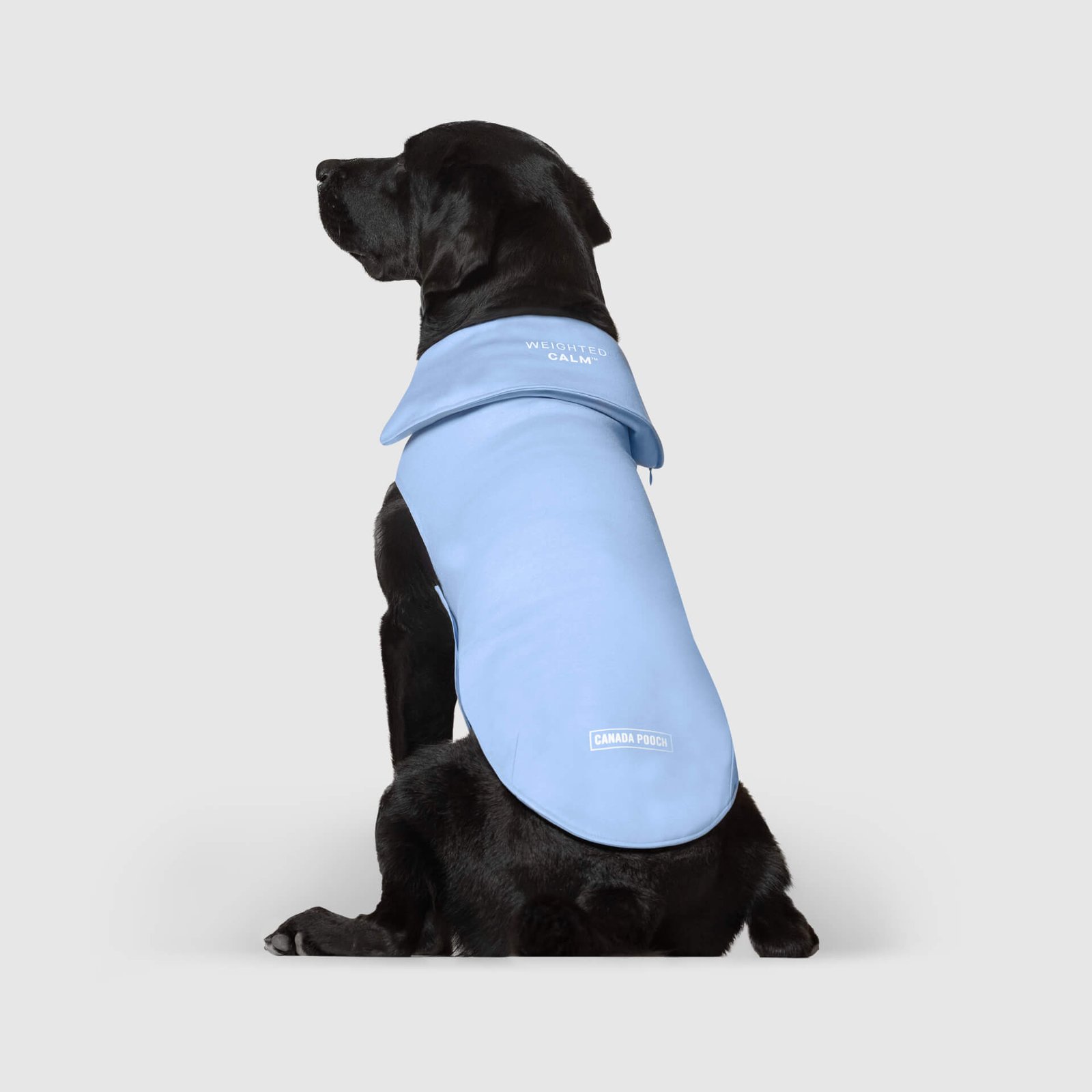 CalmingVest_Blue_PDP_1_ff38d37a-3ee2-4ada-9f6a-9f453e0ac215.jpg