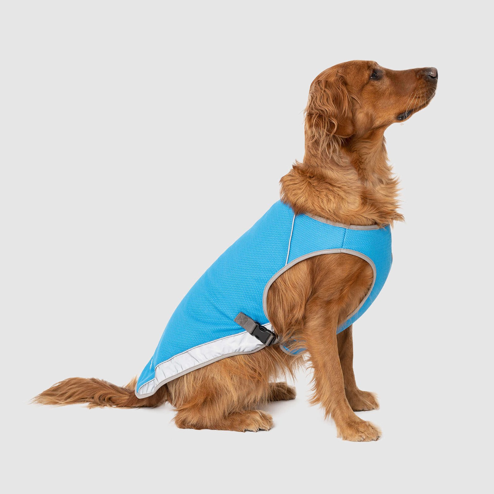 CoolingVest_Blue_-Side.jpg