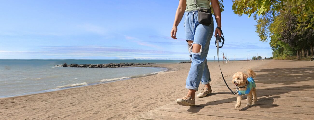 FY25_W38_Campaign_MaxChill_MayUpdates_Ecom_HomepageBanner_1_Desktop_Flipped(1)