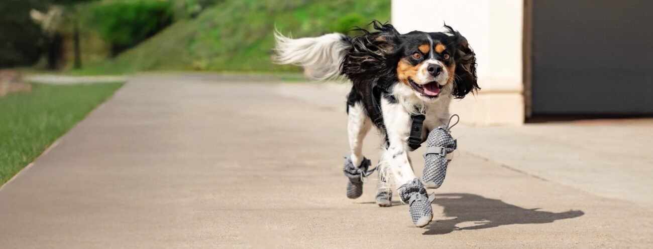 ReadyWhenTheyAre_HomepageBanner_Desktop_1(1)